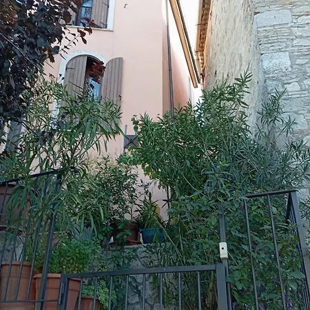 Casa Bizzarro Semesterbostad Deliceto