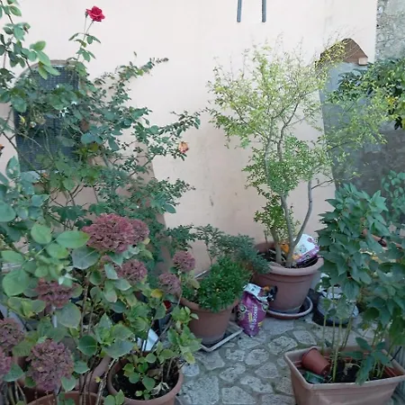 Casa Bizzarro * Deliceto