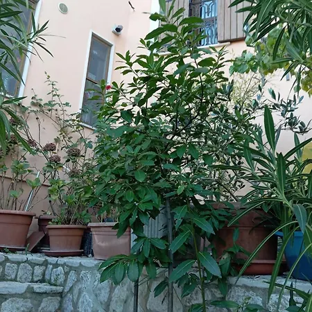 Casa Bizzarro Deliceto