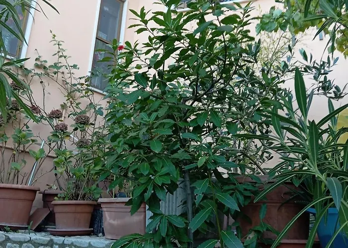 Casa Bizzarro Deliceto